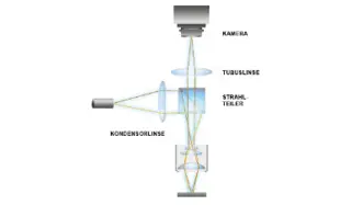 Messprinzip und Aufbau der stroboskopischen Videomikroskopie