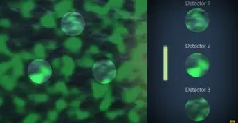Multi-path interferometry QTec®
