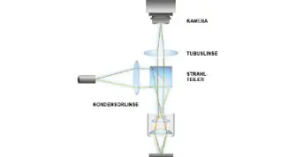 Messprinzip und Aufbau der stroboskopischen Videomikroskopie