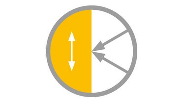 Icon in-plane vibrometry Icon in-plane vibrometry