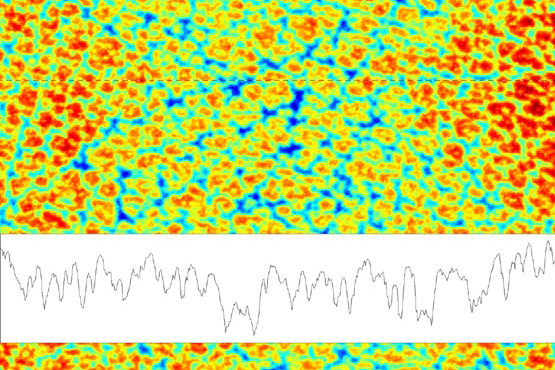 用高达 34mm x 45mm 的大视野测量精细结构的巨视图