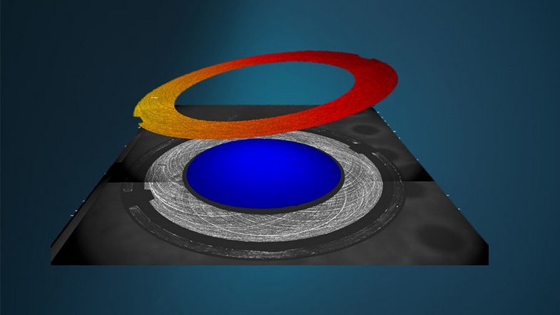 TMS Viewer topography analysis software TMS Viewer topography analysis software