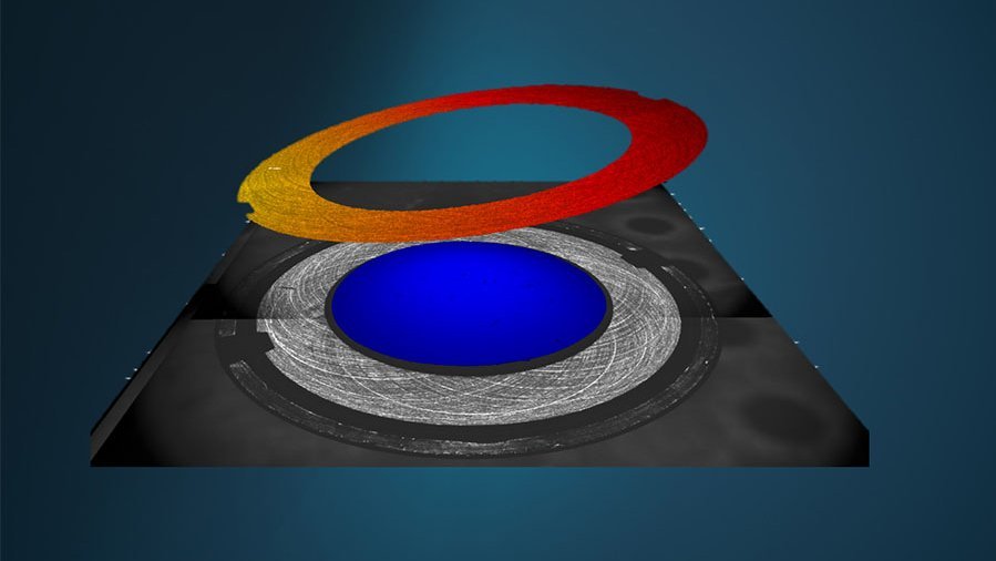TMS Viewer topography analysis software TMS Viewer topography analysis software