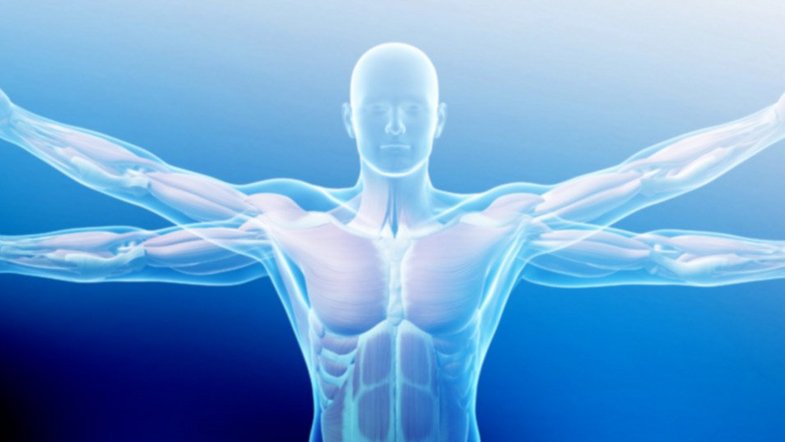 Optical measurement technology solutions for Biology and Medicine