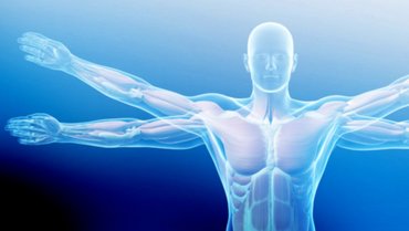 Doppler effect in medicine