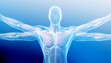 Optical measurement technology solutions for Biology and Medicine