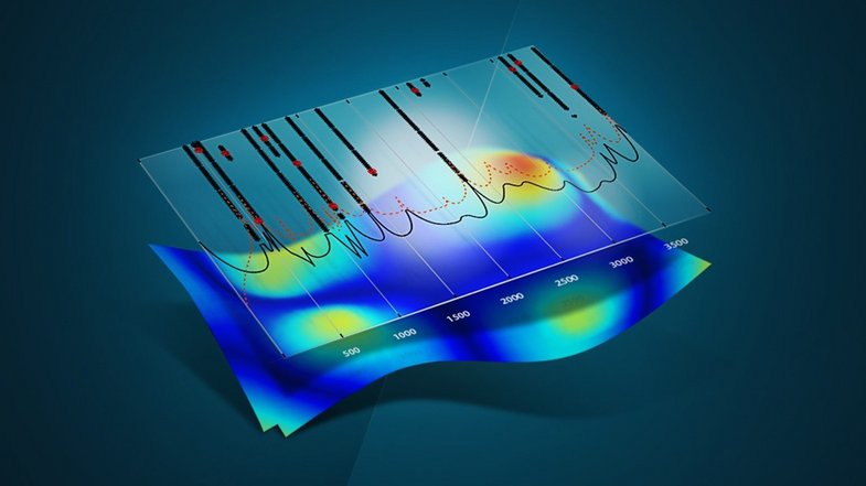 Polytec software suite for experimental and operational modal analysis, order analysis and reporting Polytec software suite for experimental and operational modal analysis, order analysis and reporting