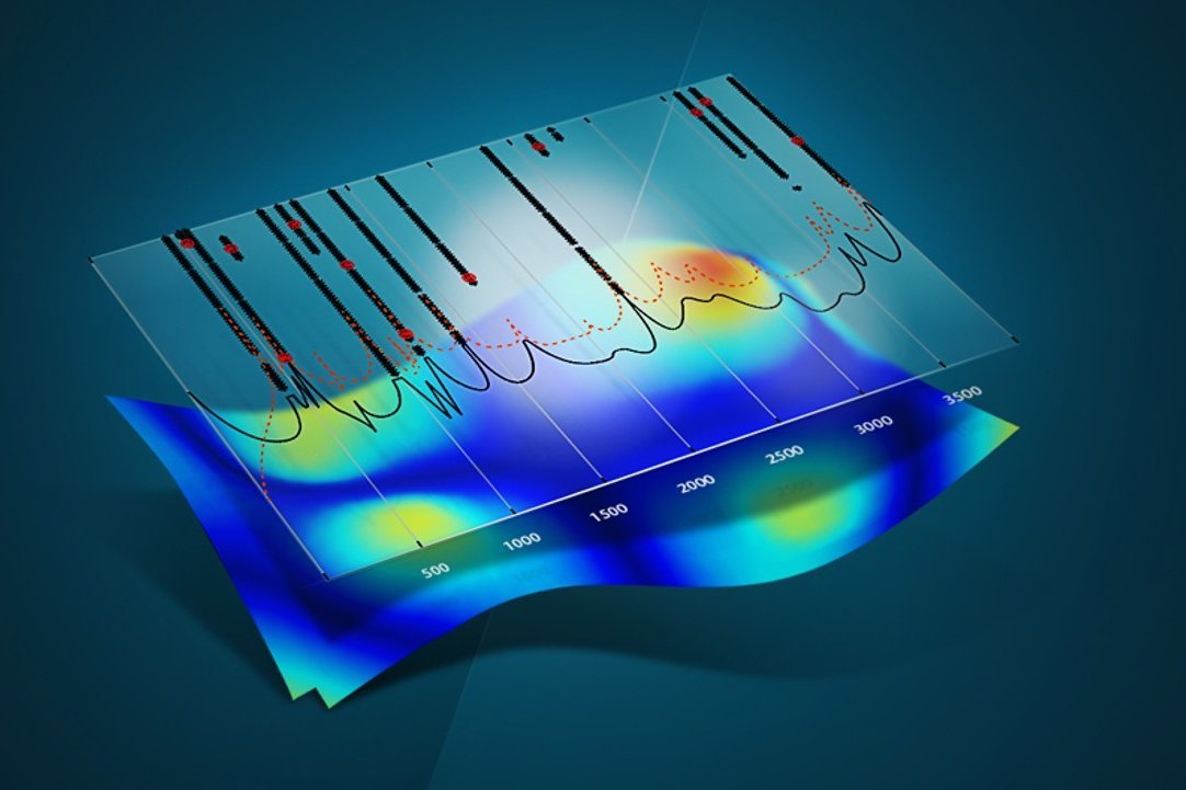 Polytec software suite for experimental and operational modal analysis, order analysis and reporting Polytec software suite for experimental and operational modal analysis, order analysis and reporting