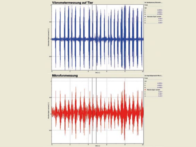 Comparing the synchronized laser vibrometer with microphone measurements Comparing the synchronized laser vibrometer with microphone measurements