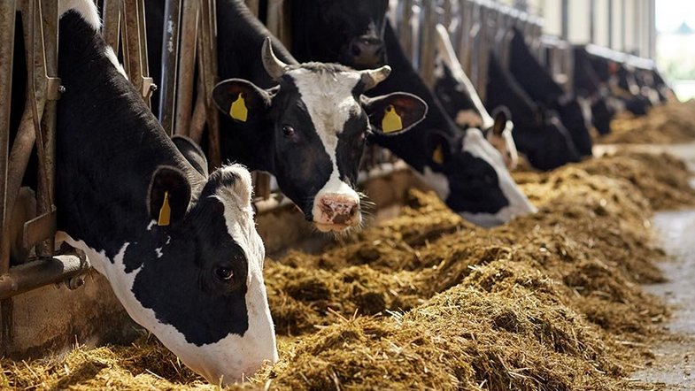 NIR process technology for agriculture and animal feed - Polytec NIR process technology for agriculture and animal feed - Polytec