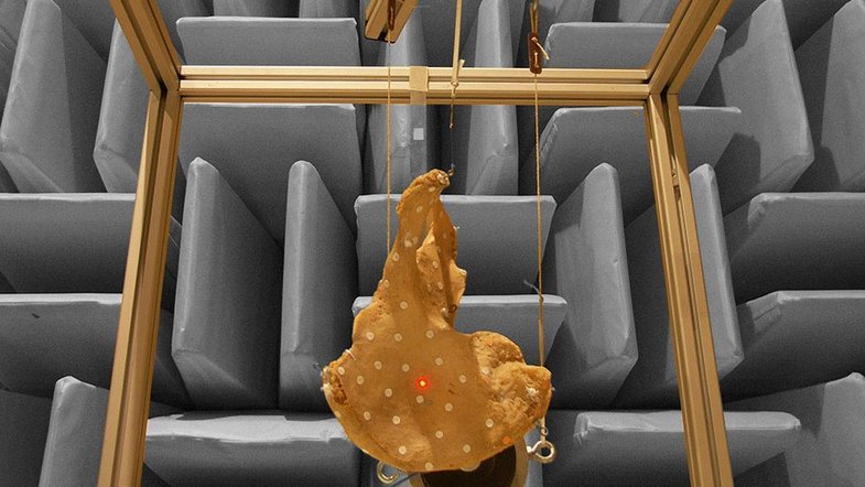 Vibration measurement setup of a hip bone for structural analysis Vibration measurement setup of a hip bone for structural analysis