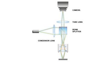 Measurement principle and basic setup of stroboscopic video microscopy Measurement principle and basic setup of stroboscopic video microscopy