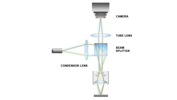 Measurement principle and basic setup of stroboscopic video microscopy