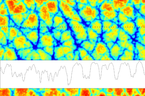 用于汽车内饰件的皮革等有机材料的横截面粗糙度测量
