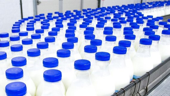 Milk and dairy NIR analysis