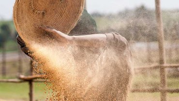Agriculture seed Agriculture seed