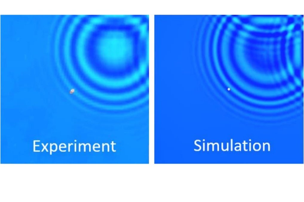IMAC modal analysis conference 2021 model validation - comparing surfaces waves simulated vs measured IMAC modal analysis conference 2021 model validation - comparing surfaces waves simulated vs measured