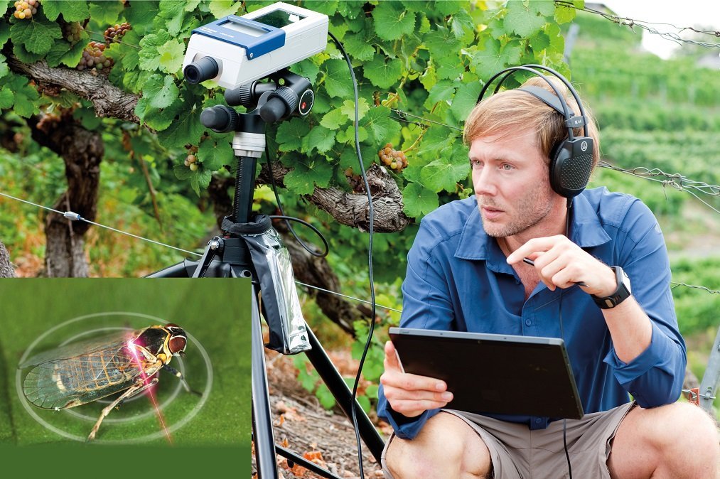 Field measurements like entomology for pest control with VibroGo Field measurements like entomology for pest control with VibroGo