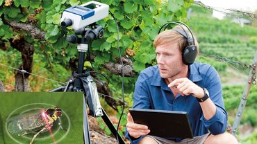 Field measurements like entomology for pest control with VibroGo Field measurements like entomology for pest control with VibroGo