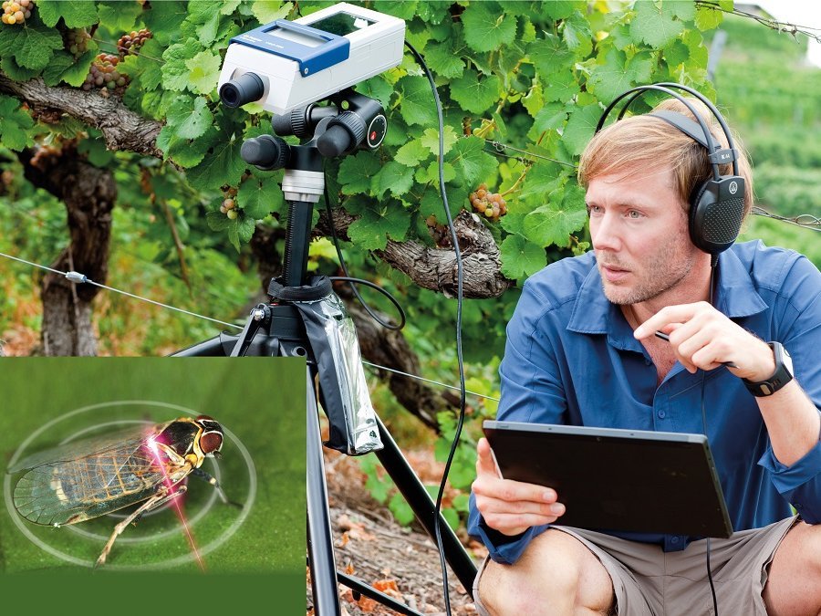 Field measurements like entomology for pest control with VibroGo Field measurements like entomology for pest control with VibroGo