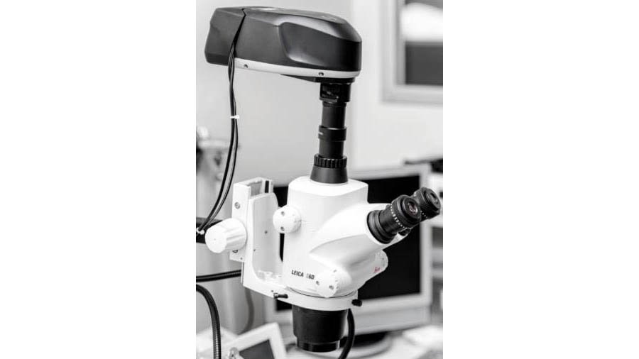 Senop HSC2 Kamera Mikroskopanwendung 