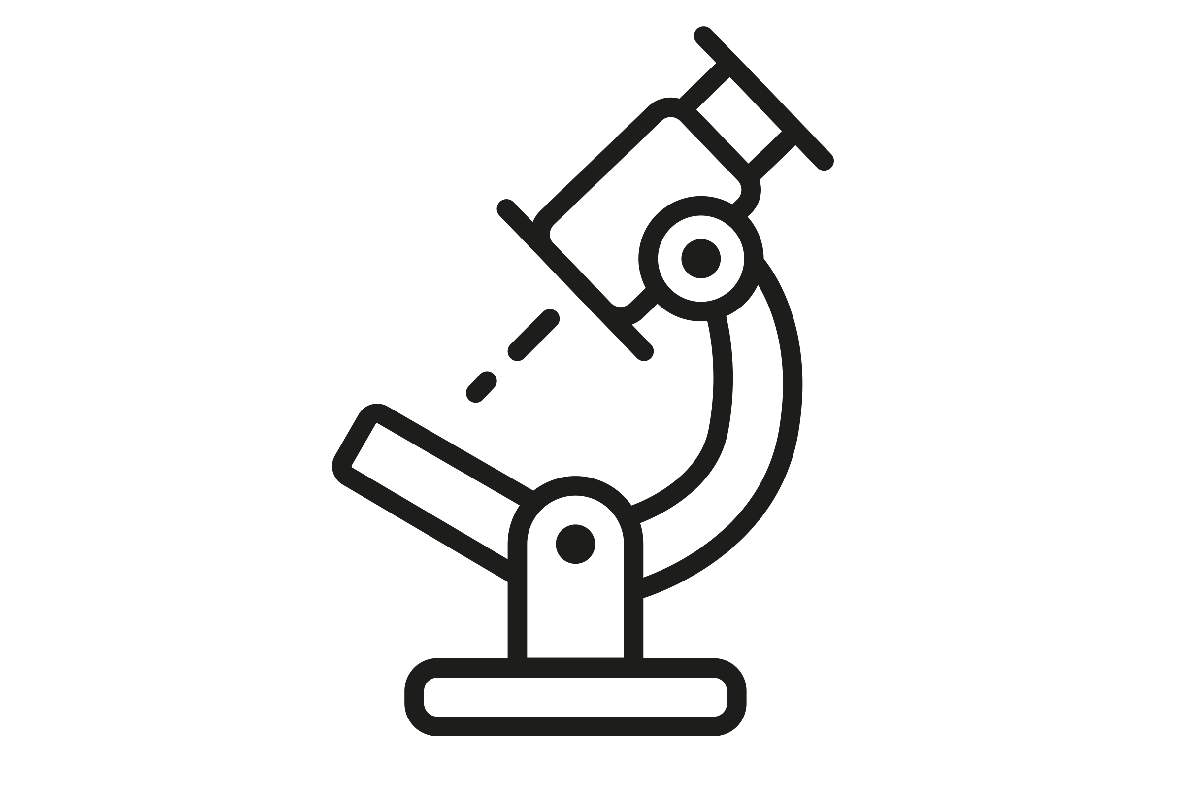 Icon Microscope