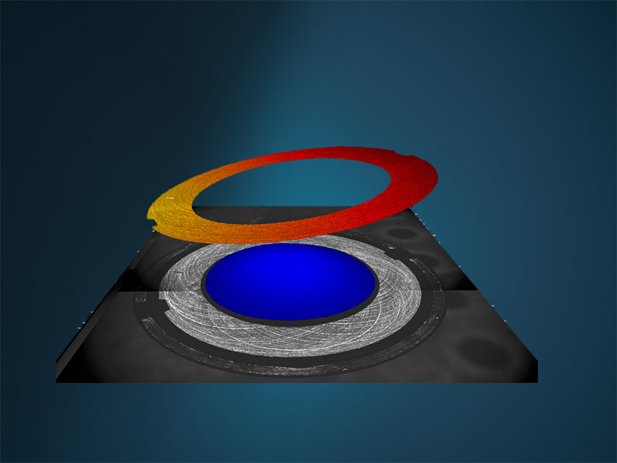 TMS Viewer als ergänzende Software zur Oberflächen-Qualitätskontrolle TMS Viewer als ergänzende Software zur Oberflächen-Qualitätskontrolle