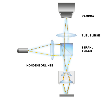 Technologisches Grundprinzip der stroboskopischen Videomikroskopie der Polytec MSA Micro System Analyzer Technologisches Grundprinzip der stroboskopischen Videomikroskopie der Polytec MSA Micro System Analyzer