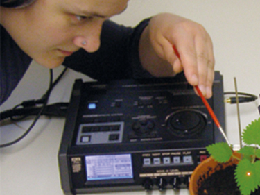 Stimulating and investigating singing insects Stimulating and investigating singing insects